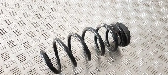 Alfa Romeo Giulia Rear coil spring 50553881 0050553881042953