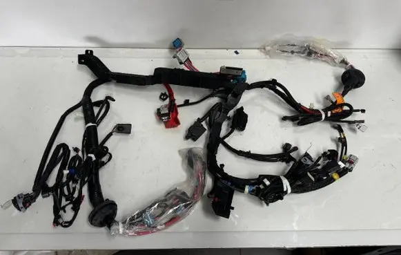 Tesla Model 3 Other wiring loom 2567964