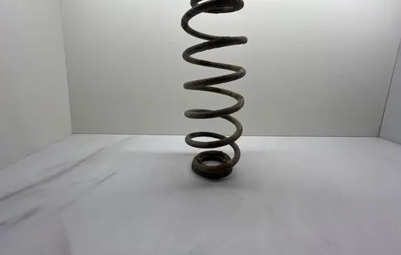 Rear coil spring