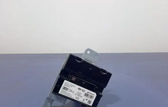 KIA Sportage Other control units/modules 96510P1100