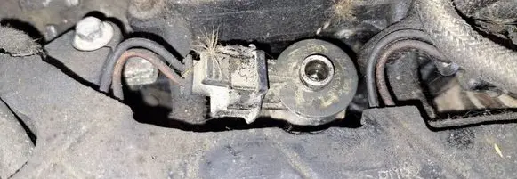 Peugeot Bipper Fuel injector 0445110252