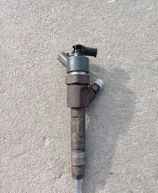 Renault Laguna II Fuel injector 0445110021