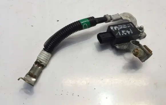 Positive wiring loom