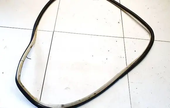 Citroen C5 Rubber seal front coupe door 
