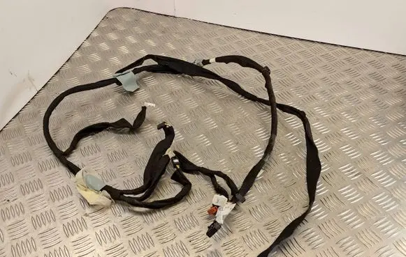 Renault Captur Other wiring loom 241602807R
