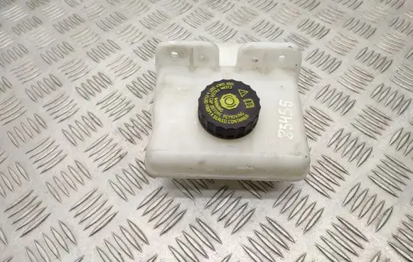 Renault Zoe Brake fluid reservoir 0204720866