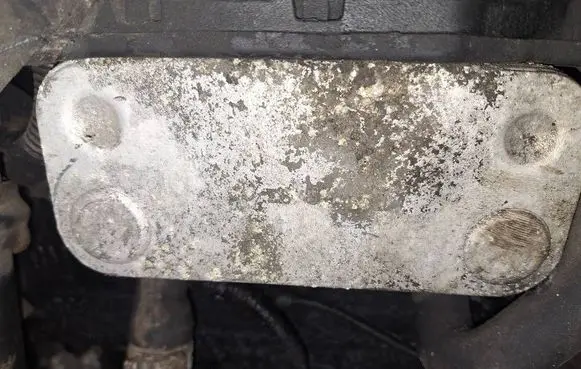 Opel Vectra C Engine oil radiator 