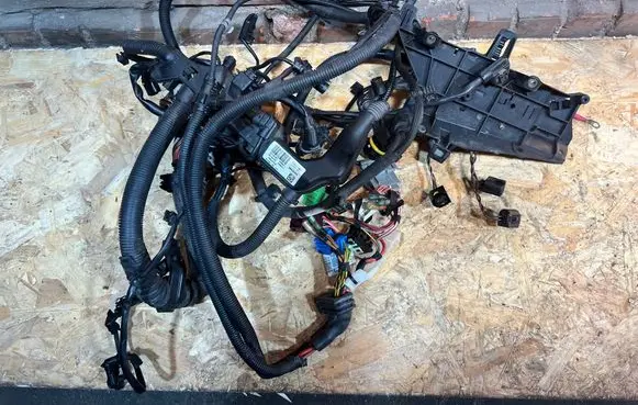 Engine installation wiring loom