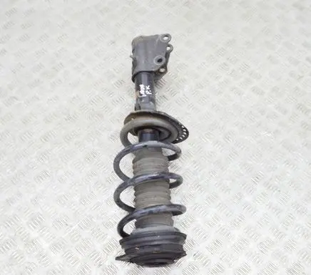 Renault Kangoo II Front shock absorber/damper 543020503R