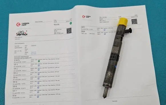 Renault Megane II Fuel injector EJBR05102D IMPRK1352191
