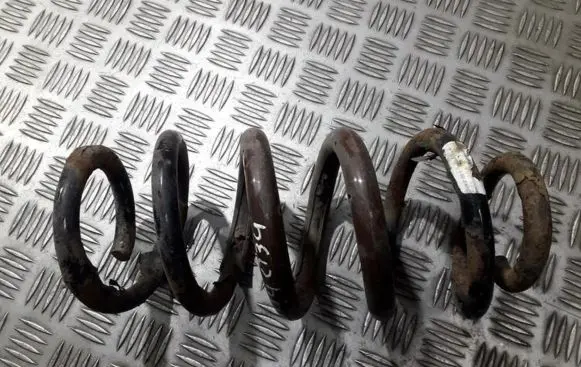 Toyota RAV 4 (XA30) Rear coil spring