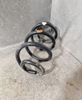 Rear coil spring