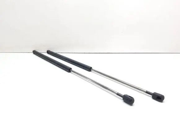 Ford C-MAX I Tailgate/trunk strut/damper 3M51R406A10AB