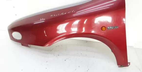 Fiat Multipla Fender