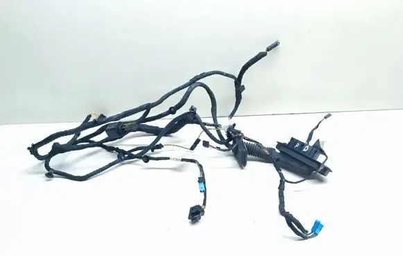 Front door wiring loom