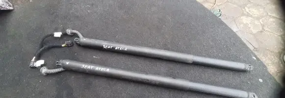 Tailgate strut