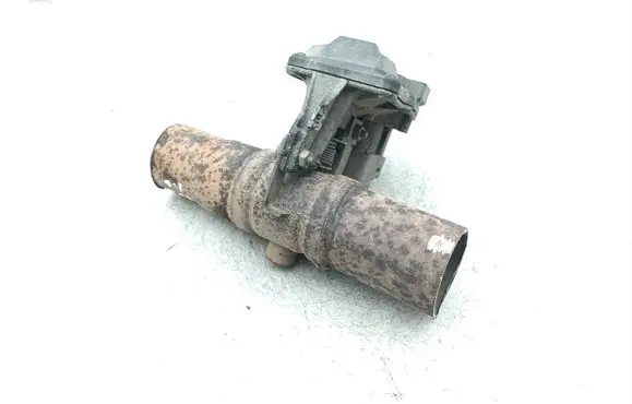 Throttle body valve