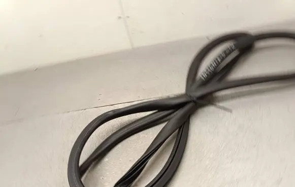 Opel Insignia B Front door rubber seal 