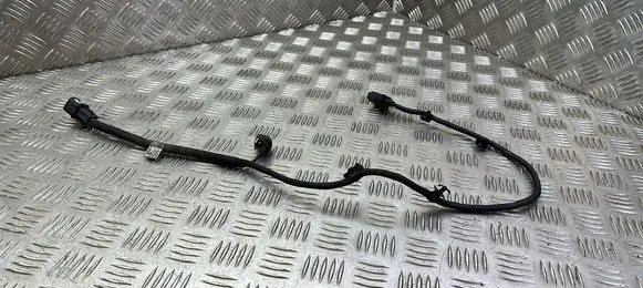 Other wiring loom