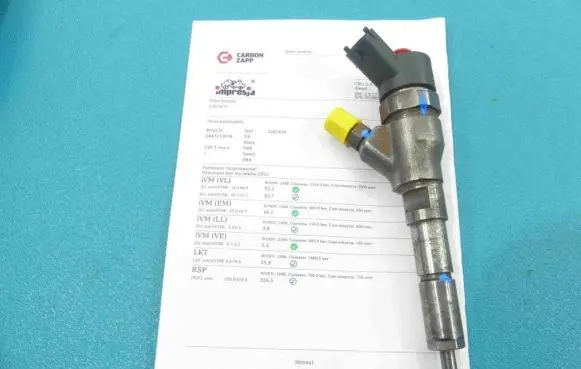 Citroen Jumper Fuel injector 0445110076 IMPRK1261870