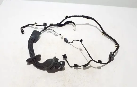 Other wiring loom