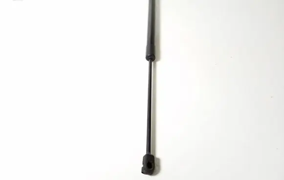 Tailgate strut