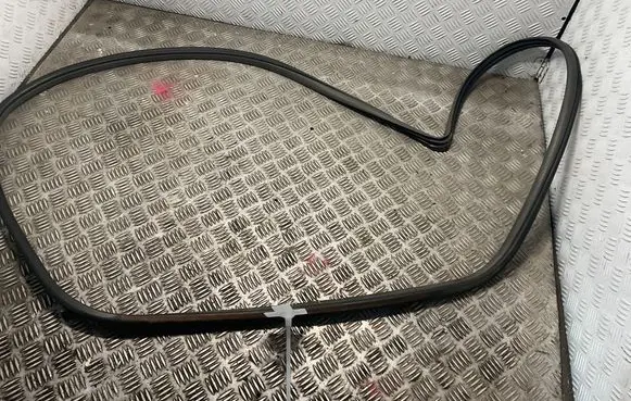 Toyota RAV 4 (XA20) Front door rubber seal 