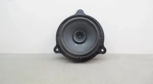 Nissan Juke I F15 Rear door speaker
