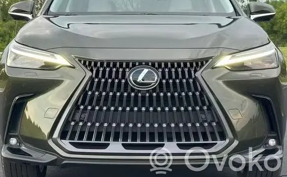 Lexus NX Front piece kit 1636331510 1659425020 31900723W