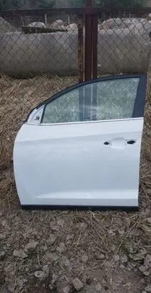 Hyundai Tucson TL Front door