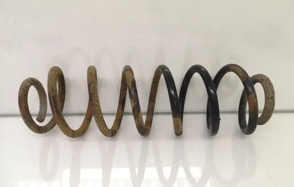 Skoda Roomster (5J) Rear coil spring