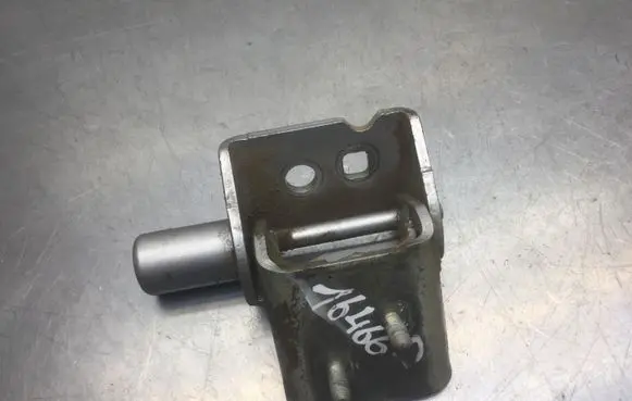 Renault Clio III Rear door lower hinge ES71