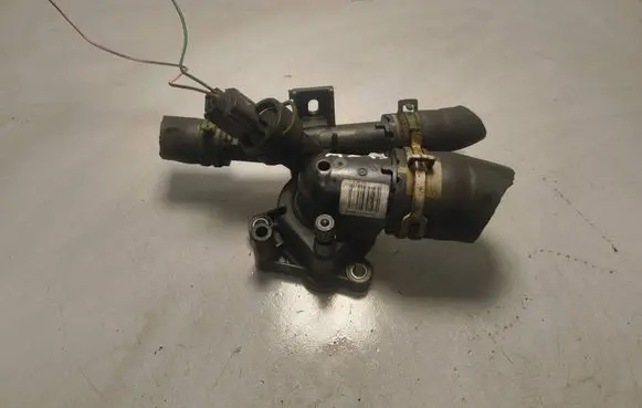 Thermostat/thermostat housing