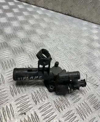 Thermostat/thermostat housing
