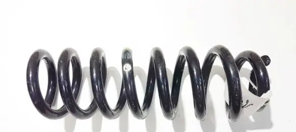 Rear coil spring