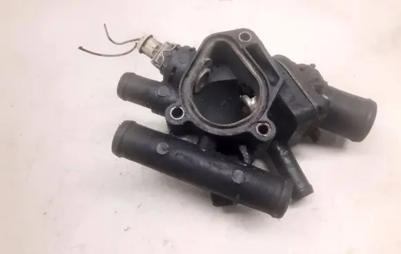 Thermostat/thermostat housing