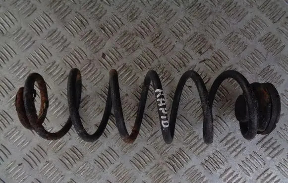 Rear coil spring