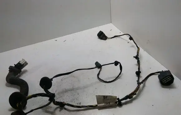 Rear door wiring loom