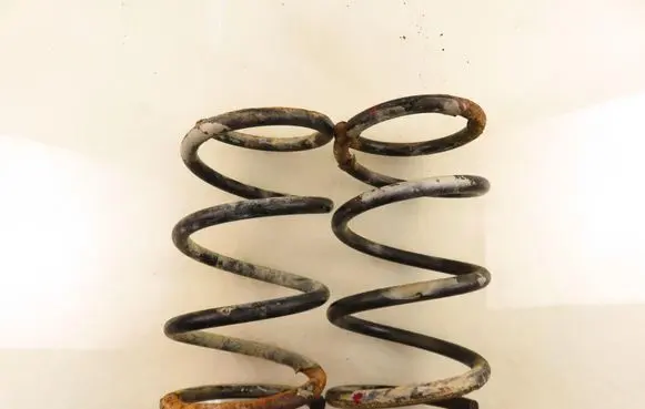 Mazda Tribute Rear coil spring