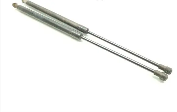 Tailgate/trunk strut/damper