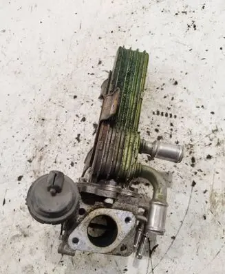 Skoda Octavia Mk2 (1Z) EGR valve 03G131063е 038131513ad