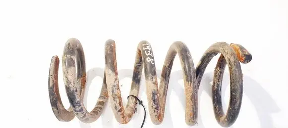 Rear coil spring