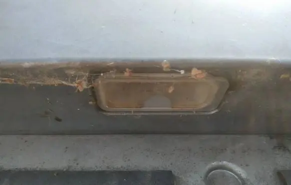 Number plate light