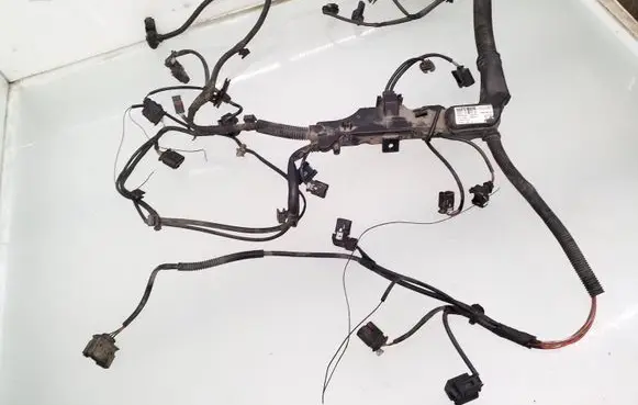 Engine installation wiring loom