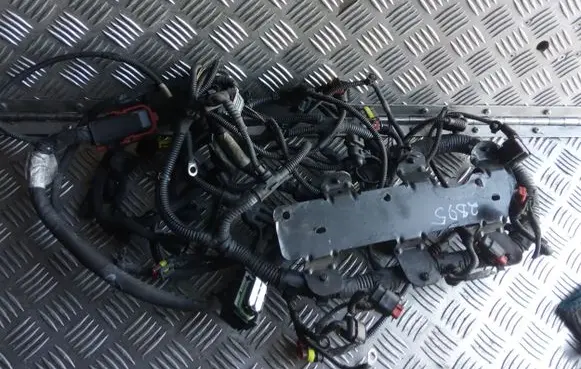 Fiat Ducato Other wiring loom