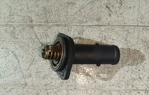 Thermostat/thermostat housing