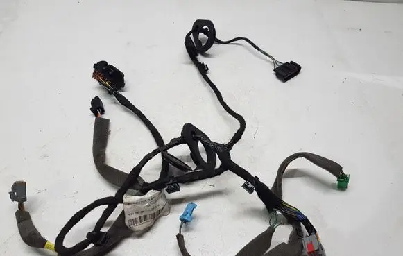 Rear door wiring loom