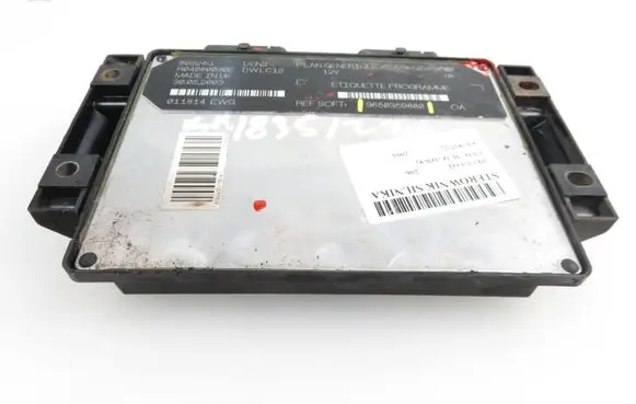 Peugeot 206 Engine control unit/module 9650359880 R04080030E