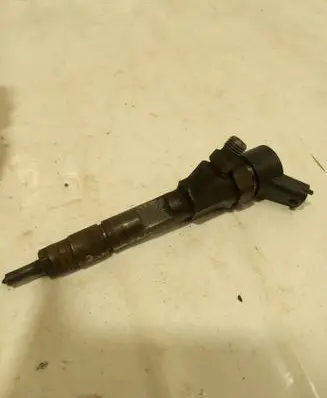 Renault Megane II Fuel injector 0445110