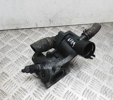 Thermostat/thermostat housing